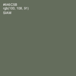 #646C5B - Siam Color Image