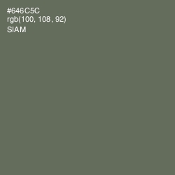 #646C5C - Siam Color Image