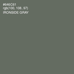 #646C61 - Ironside Gray Color Image