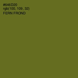 #646D20 - Fern Frond Color Image