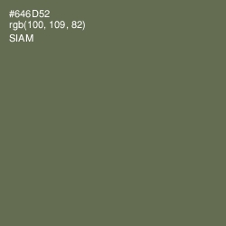 #646D52 - Siam Color Image