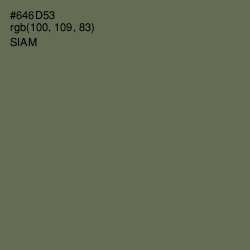 #646D53 - Siam Color Image