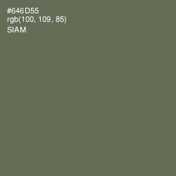 #646D55 - Siam Color Image