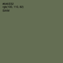 #646E52 - Siam Color Image