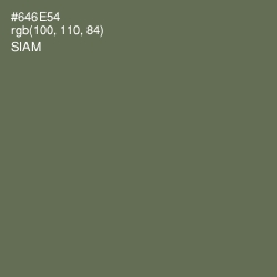 #646E54 - Siam Color Image