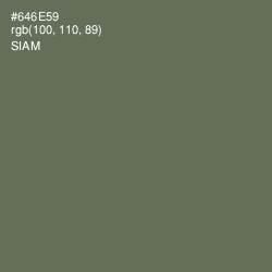 #646E59 - Siam Color Image