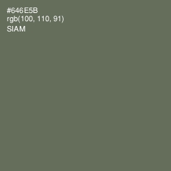 #646E5B - Siam Color Image