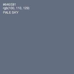 #646E81 - Pale Sky Color Image