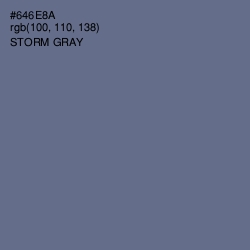 #646E8A - Storm Gray Color Image