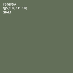 #646F5A - Siam Color Image
