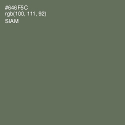#646F5C - Siam Color Image