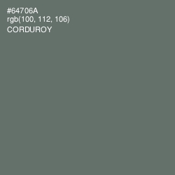 #64706A - Corduroy Color Image