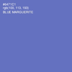 #6471C1 - Blue Marguerite Color Image