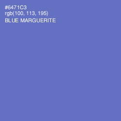 #6471C3 - Blue Marguerite Color Image