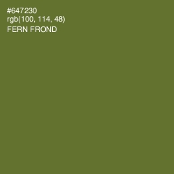 #647230 - Fern Frond Color Image