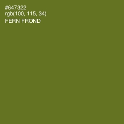 #647322 - Fern Frond Color Image
