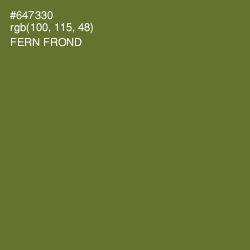 #647330 - Fern Frond Color Image