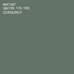 #647367 - Corduroy Color Image
