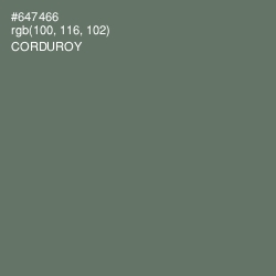 #647466 - Corduroy Color Image