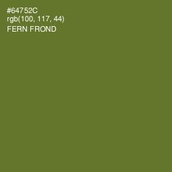 #64752C - Fern Frond Color Image