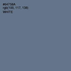 #64758A - Pale Sky Color Image