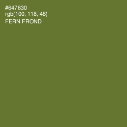 #647630 - Fern Frond Color Image