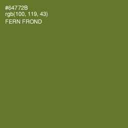#64772B - Fern Frond Color Image