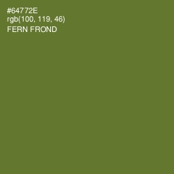 #64772E - Fern Frond Color Image