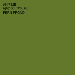 #64782B - Fern Frond Color Image