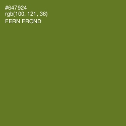 #647924 - Fern Frond Color Image