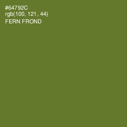 #64792C - Fern Frond Color Image