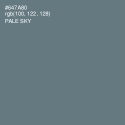 #647A80 - Pale Sky Color Image