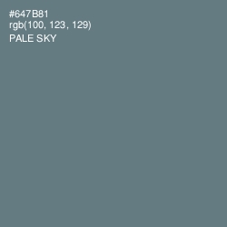 #647B81 - Pale Sky Color Image