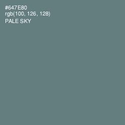 #647E80 - Pale Sky Color Image