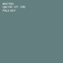 #647F80 - Pale Sky Color Image