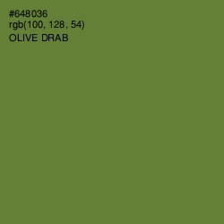 #648036 - Olive Drab Color Image