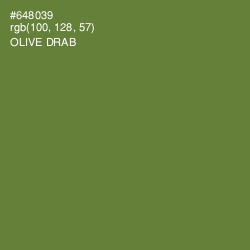 #648039 - Olive Drab Color Image