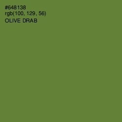 #648138 - Olive Drab Color Image