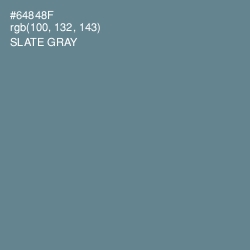 #64848F - Slate Gray Color Image