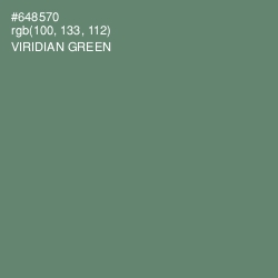 #648570 - Viridian Green Color Image