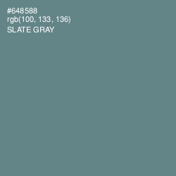 #648588 - Slate Gray Color Image