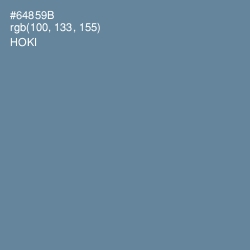 #64859B - Hoki Color Image