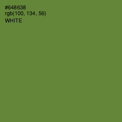 #648638 - Olive Drab Color Image