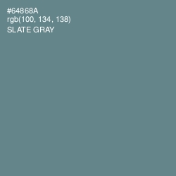 #64868A - Slate Gray Color Image