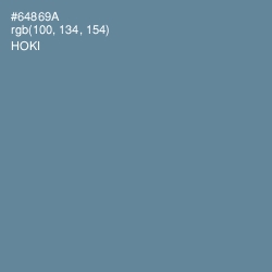 #64869A - Hoki Color Image