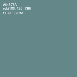 #64878A - Slate Gray Color Image