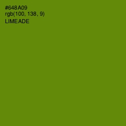 #648A09 - Limeade Color Image