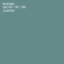 #648A8A - Juniper Color Image