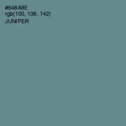 #648A8E - Juniper Color Image