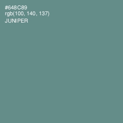 #648C89 - Juniper Color Image